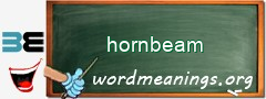 WordMeaning blackboard for hornbeam